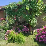 Apartmán Istriana *