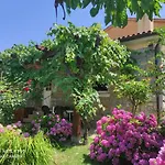 Istriana Apartmán *