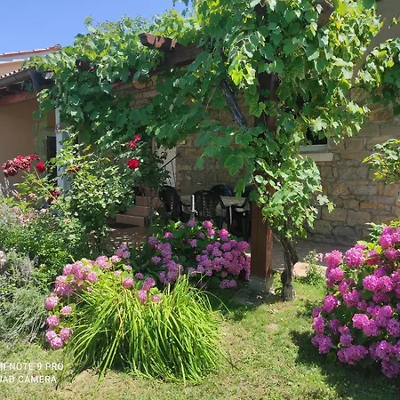 Apartment Istriana *