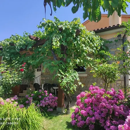 Istriana Apartment *